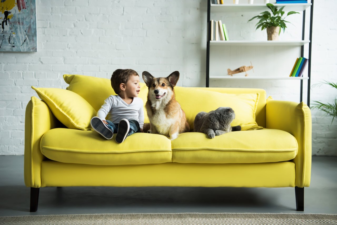 sofa do salonu jak wybrać